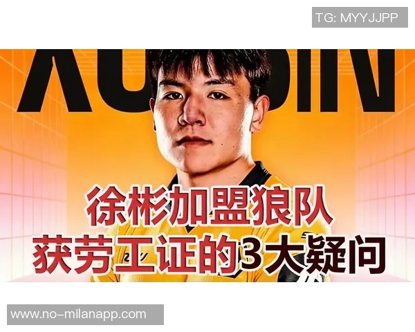 外卡背后的故事：徐彬与劳工证的艰辛之路